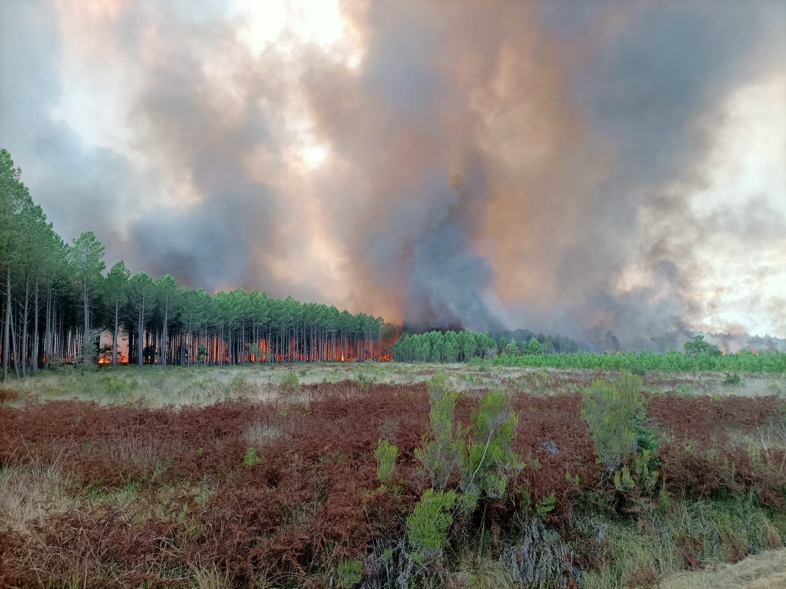 Incendie à Saumos en Gironde