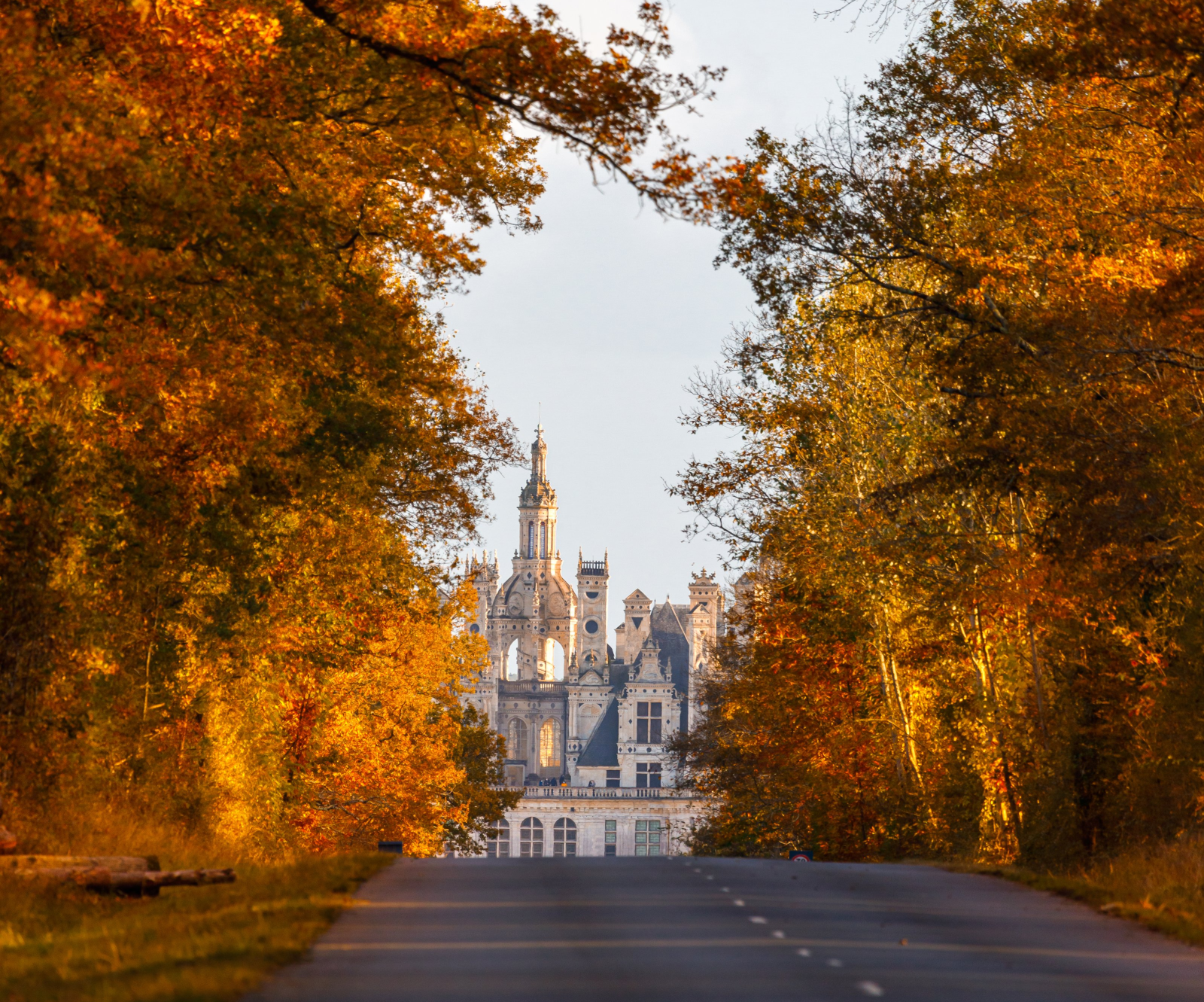 Le Château de Chambord en automne