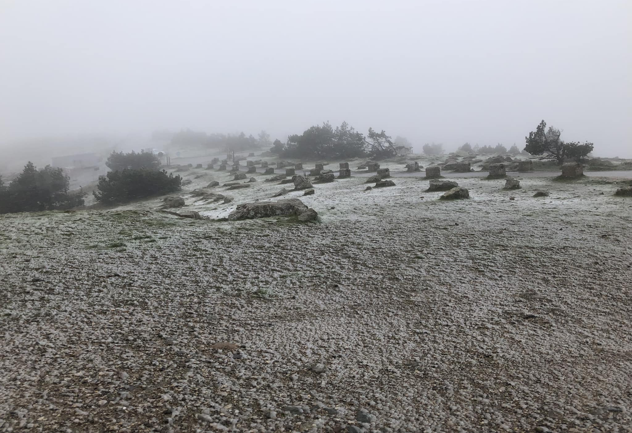 Neige au Mont Aigoual à 1567m ce vendredi 4 novembre