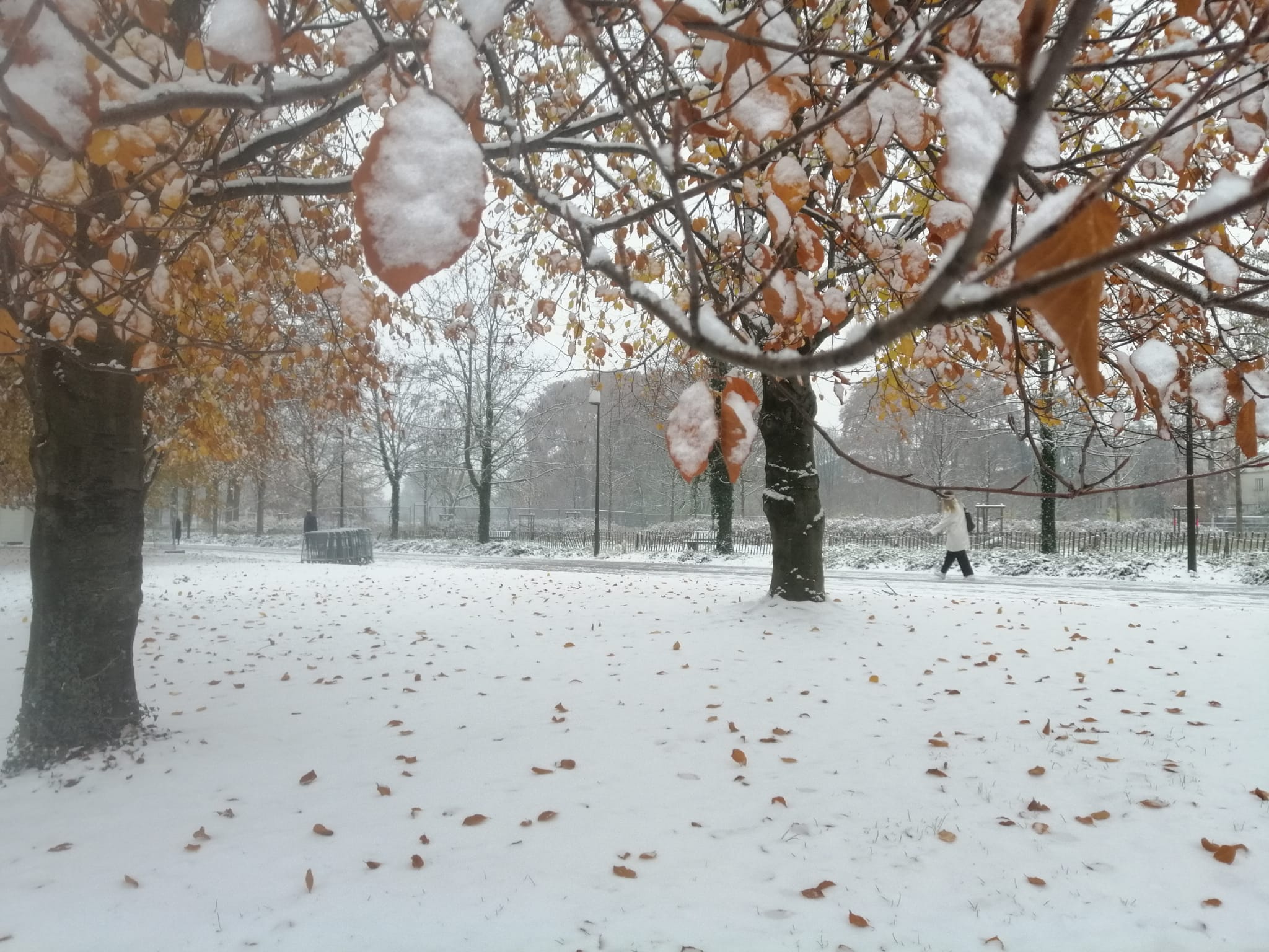 Neige à Lyon en matinée du mardi 13 décembre 2022