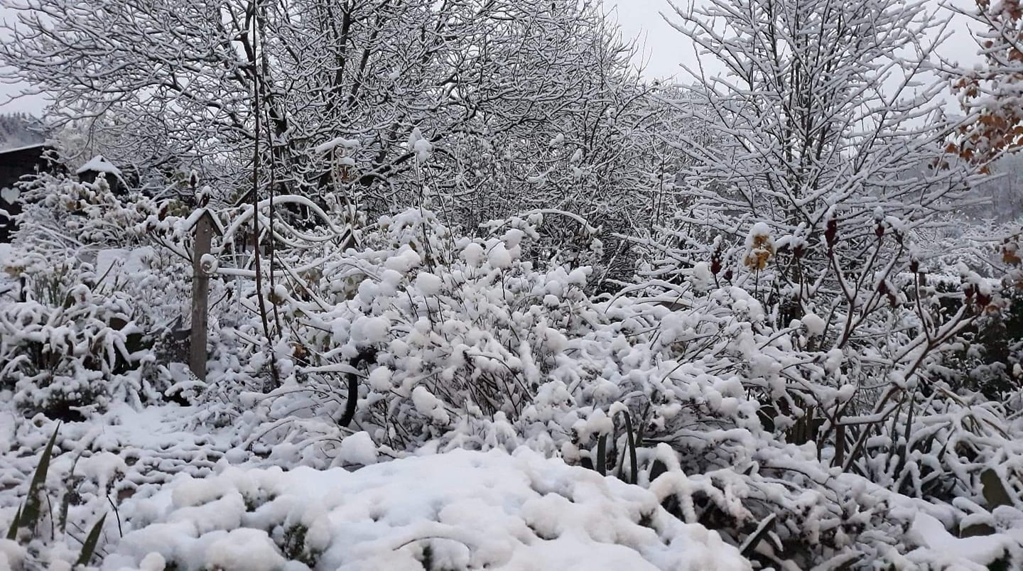 Neige à Nassogne (Belgique) ce matin du lundi 5 décembre 2022