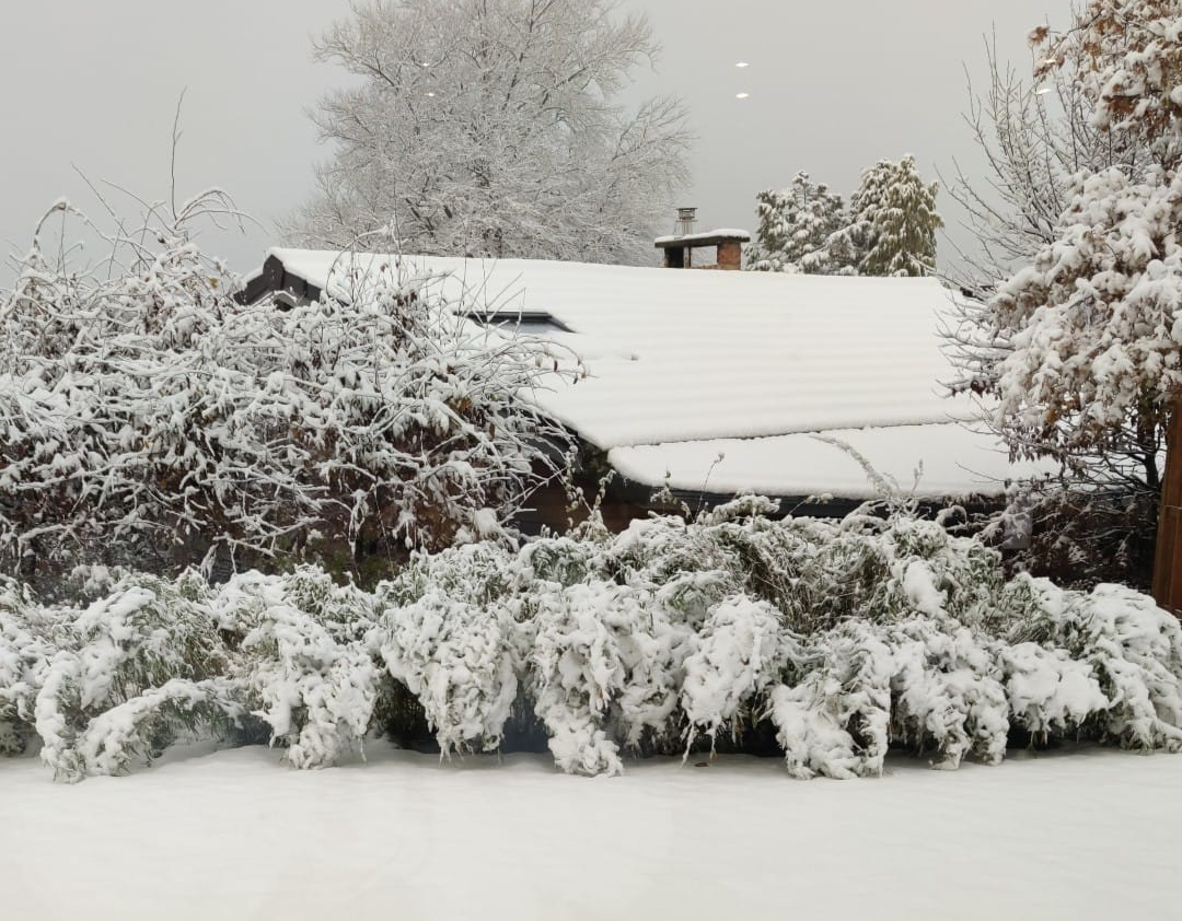 Neige à Nivezé (Belgique) ce matin du lundi 5 décembre 2022