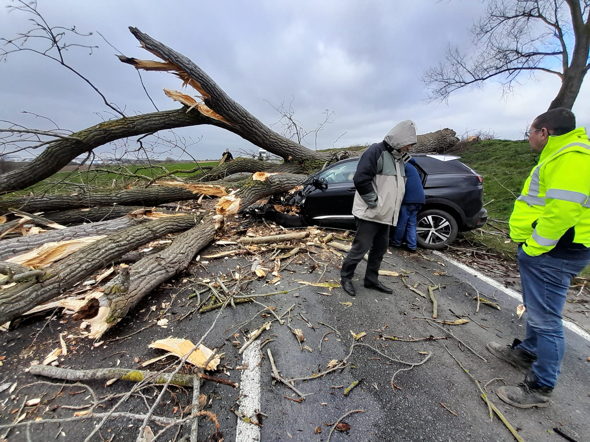 Arbre tombé sur une voiture à Fricourt (80) au passage de la tempête Larisa 