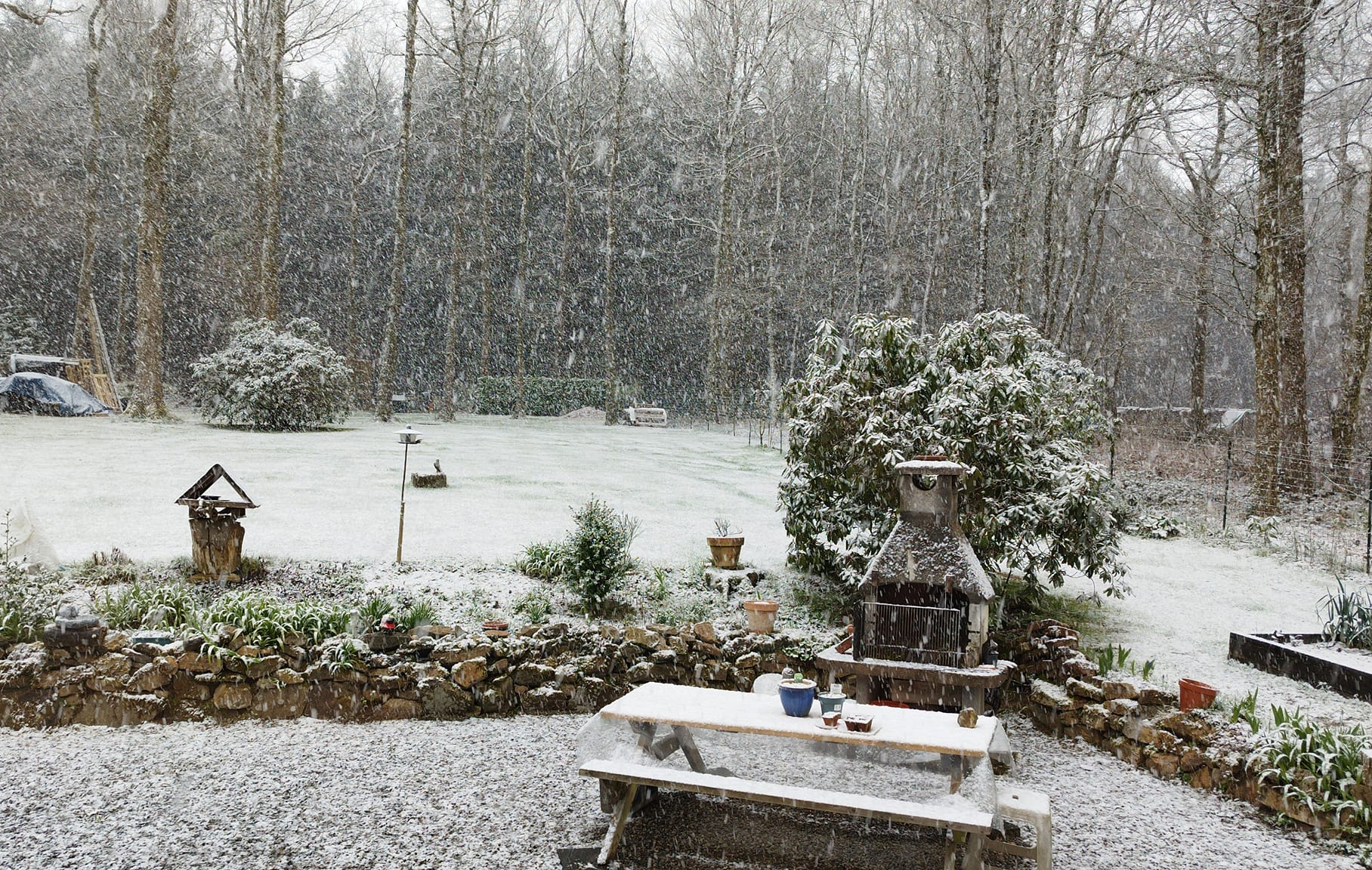 Neige à Brûly-de-Pesche (Belgique) ce matin du jeudi 20 avril 2023