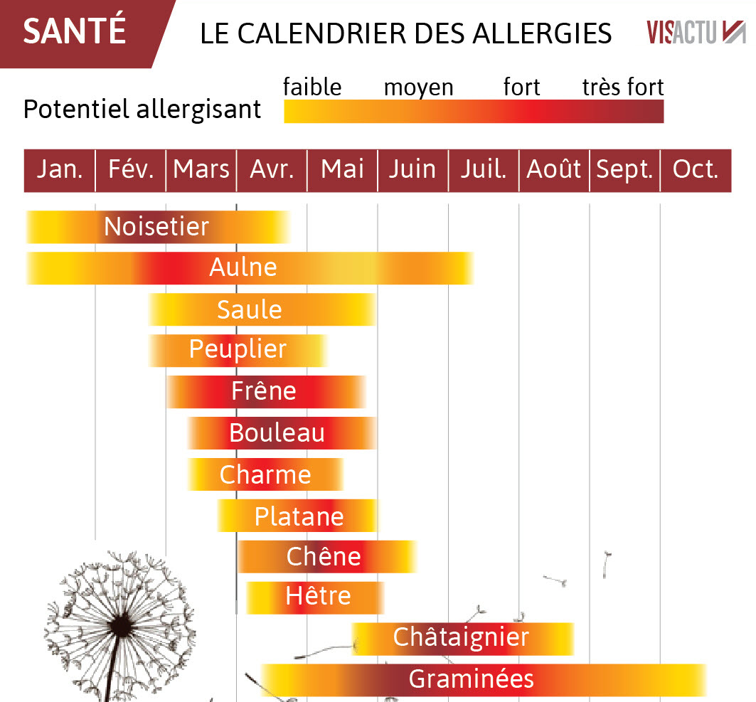 Calendrier des allergies selon les pollens