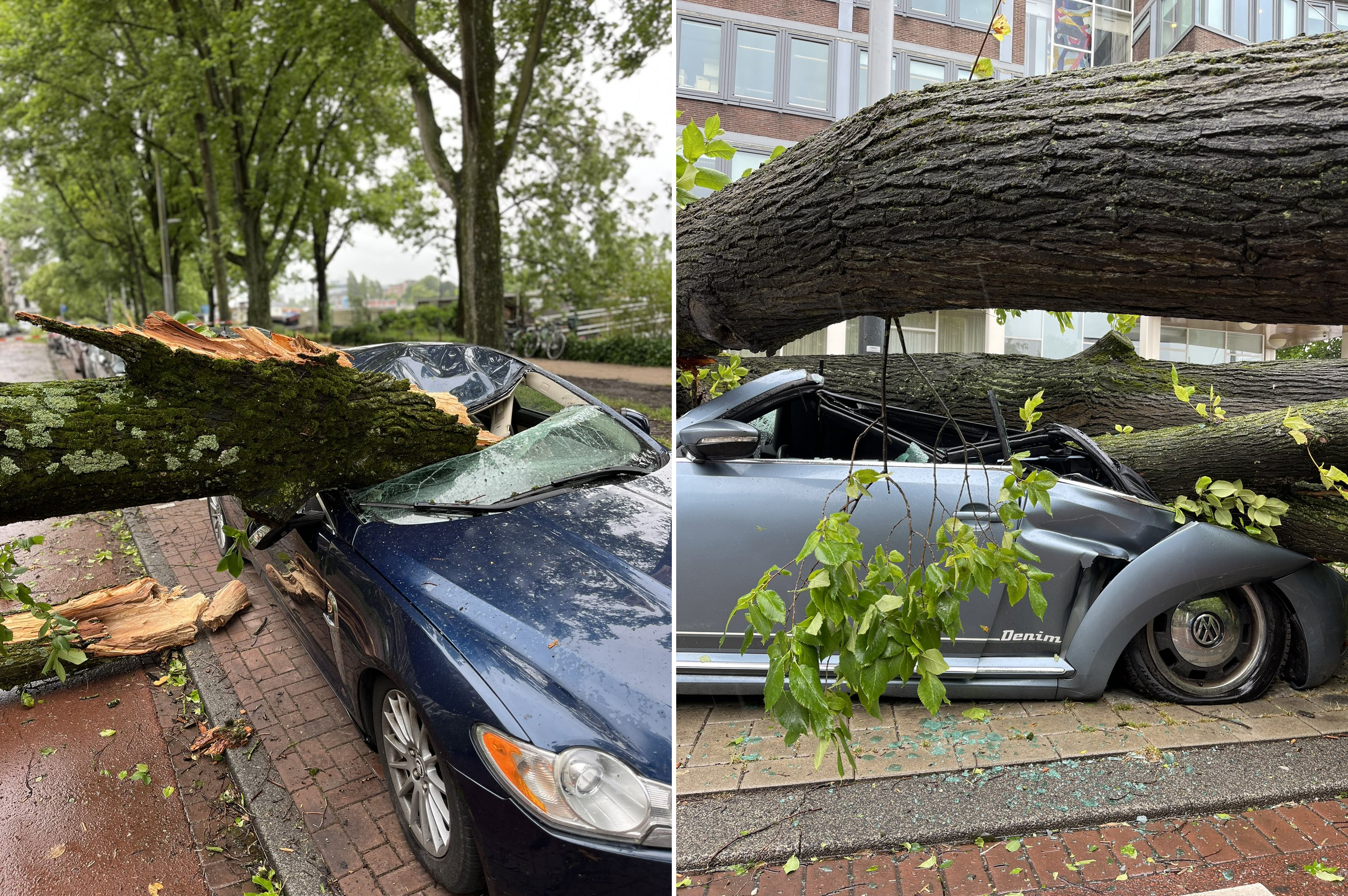 Voitures écrasées par des arbres à Amsterdam ce mercredi 5 juillet 2023