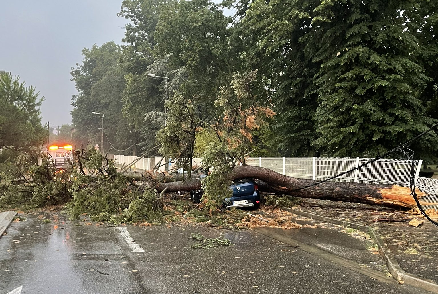 Chute d'arbre à Bourg-de-Péage (26) ce samedi 29 juillet 2023