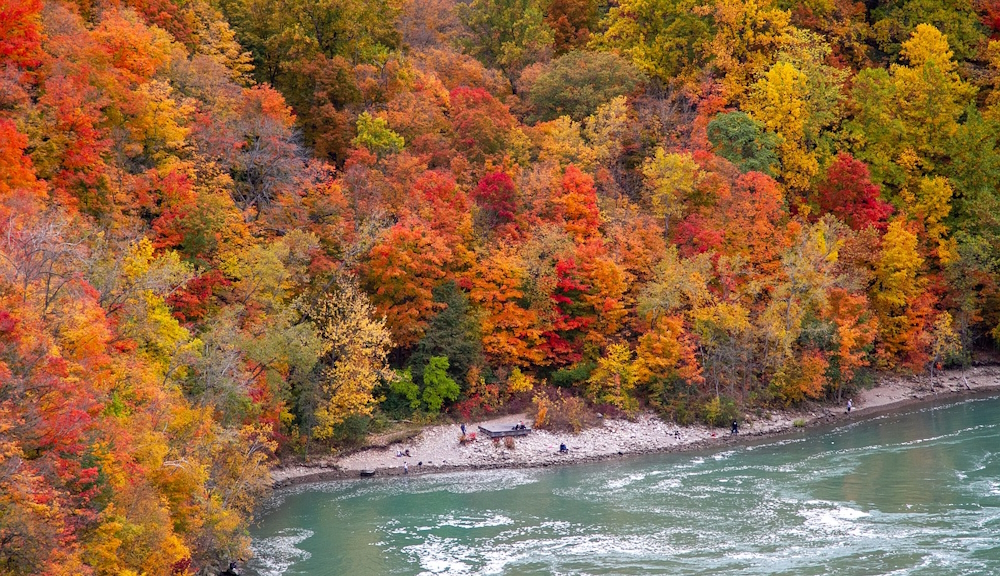 Les couleurs d'automne des forêts canadiennes caractérisent l'été indien
