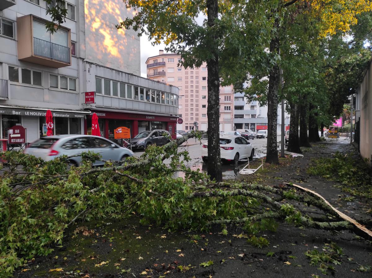 Chutes d'arbres à Pau (64) après l'orage le dimanche 17 septembre 2023