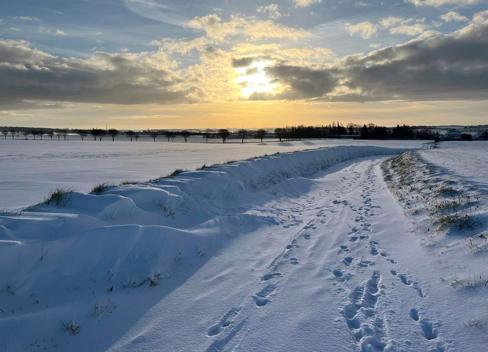 15 cm de neige à Tilloy-lès-Hermaville (62) ce jeudi 18 janvier 2024