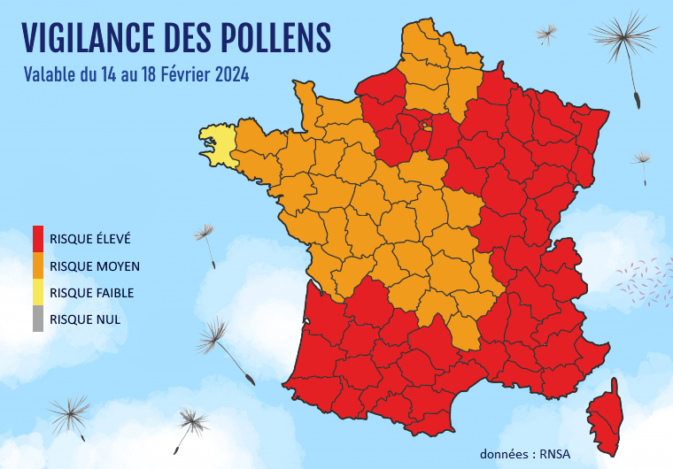Risque allergique aux pollens du 14 au 18 février 2024 