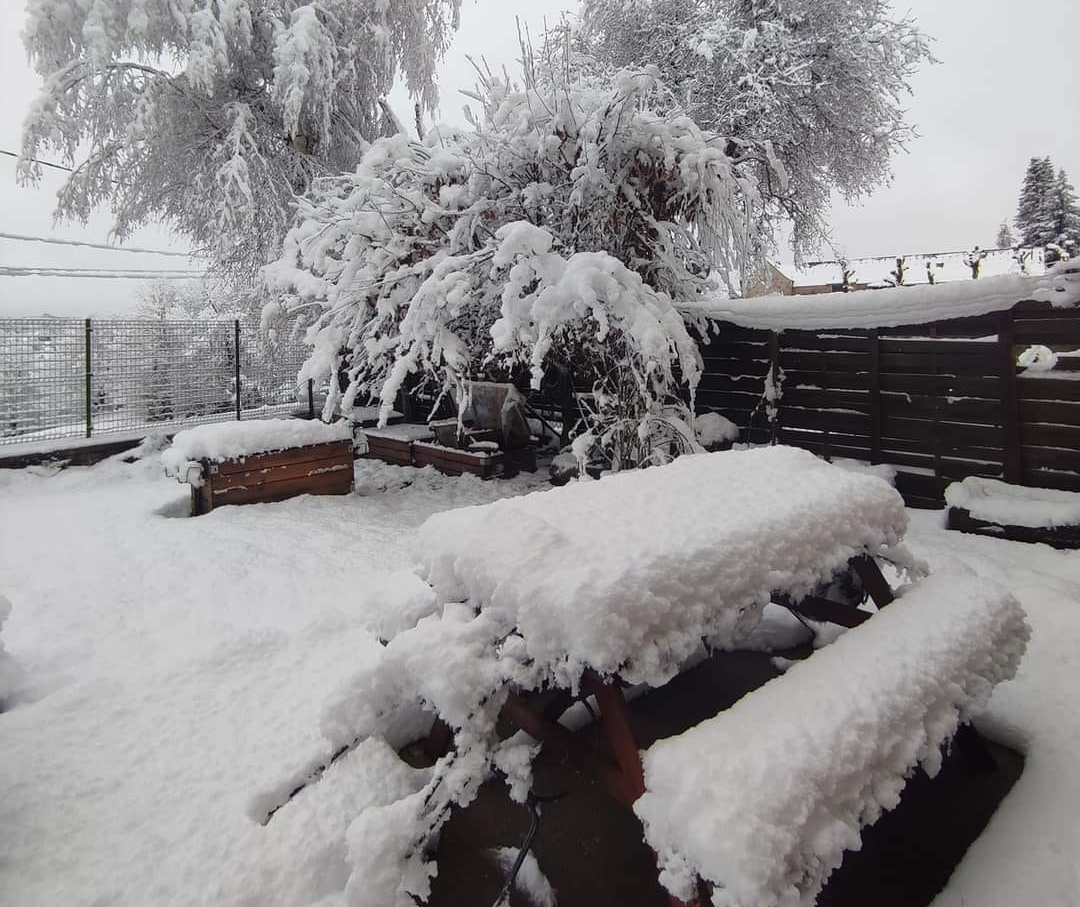 15 à 20 cm de neige à Peyre-sur-Aubrac (48) ce mercredi 27 mars 2024