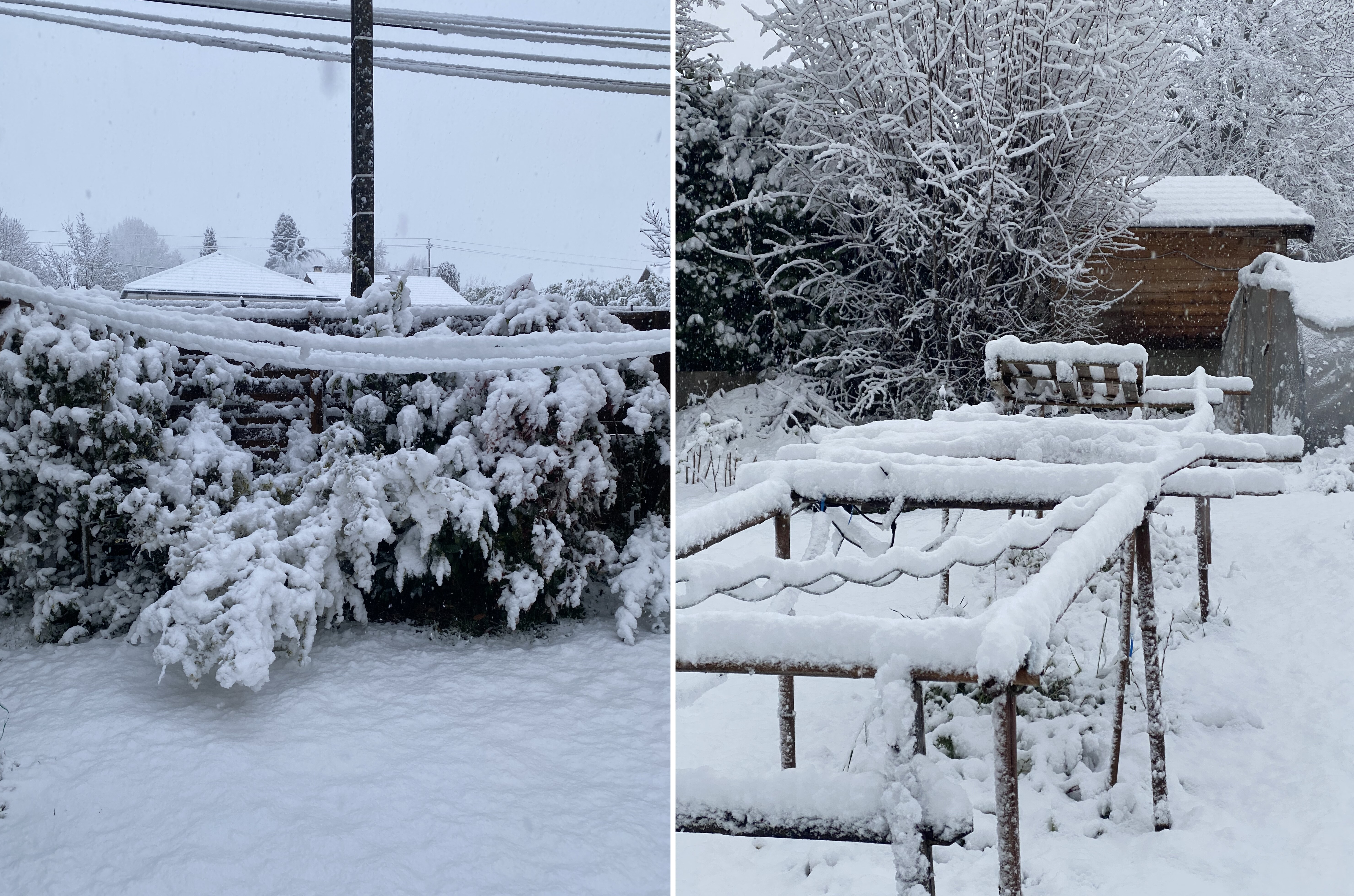 8 cm de neige à Cessieu (38) ce mercredi 27 mars 2024