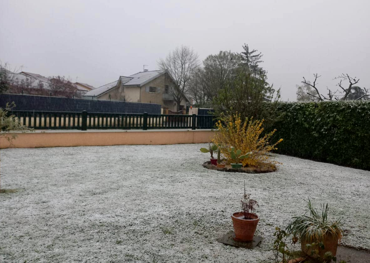 Neige à Saint-Vulbas (01) ce mercredi 27 mars 2024