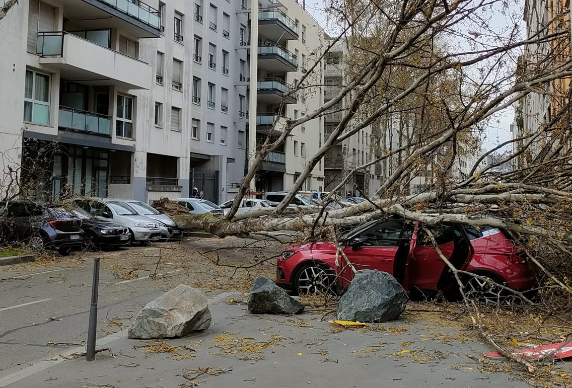 Chute d'arbre dans le 7ème arrondissement de Lyon (69) ce vendredi 29 mars 2024