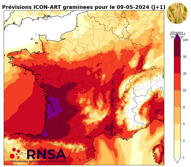 Concentrations de pollens de graminées pour le jeudi 9 mai 2024 – © RNSA
