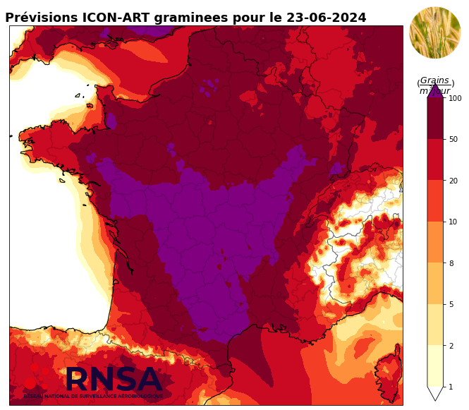 Concentrations de pollens de graminées pour le dimanche 23 juin 2024 