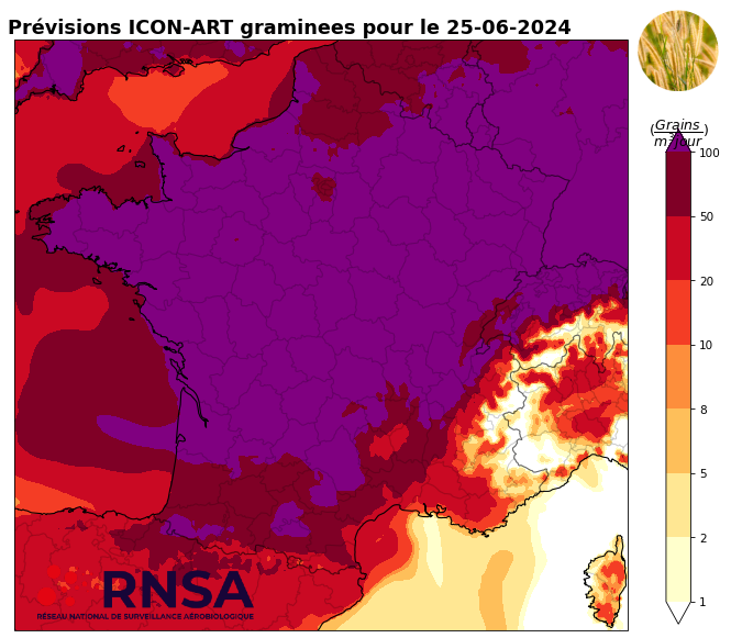 Concentrations de pollens de graminées pour le mardi 25 juin 2024