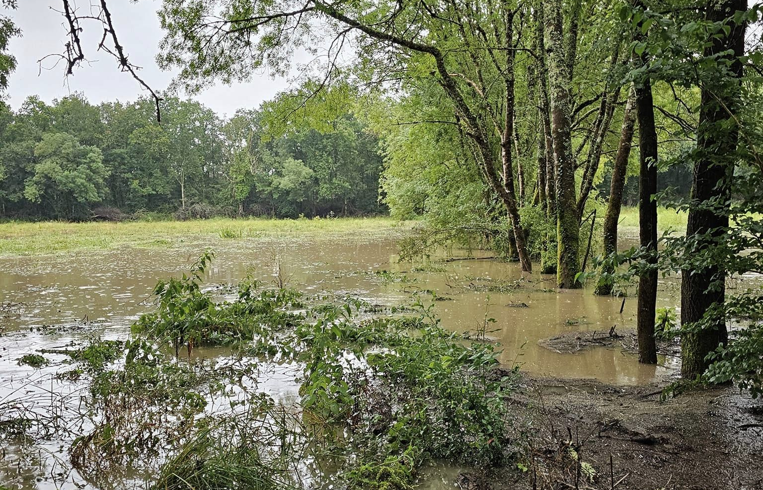 Inondations et sols saturés à Lugon (33) ce samedi 29 juin 2024