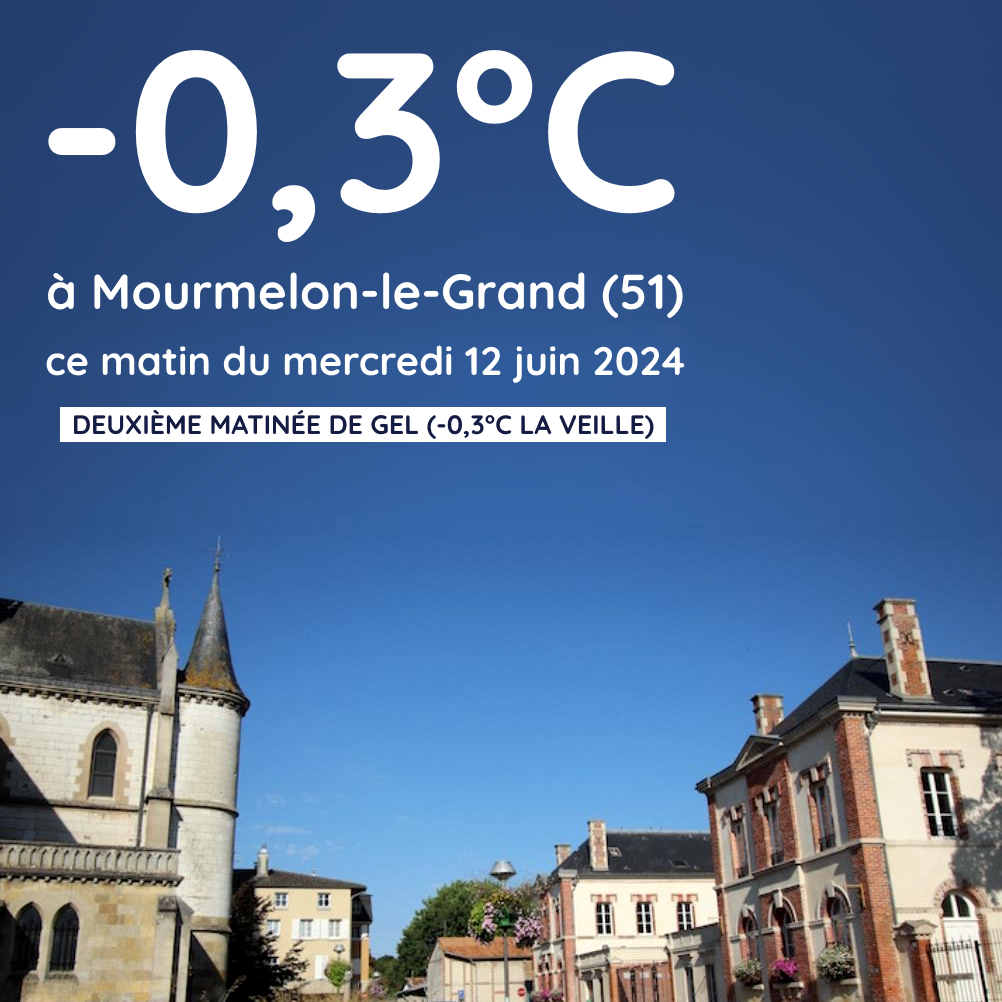 Gelée à Mourmelon-le-Grand (51) ce mercredi 12 juin 2024 