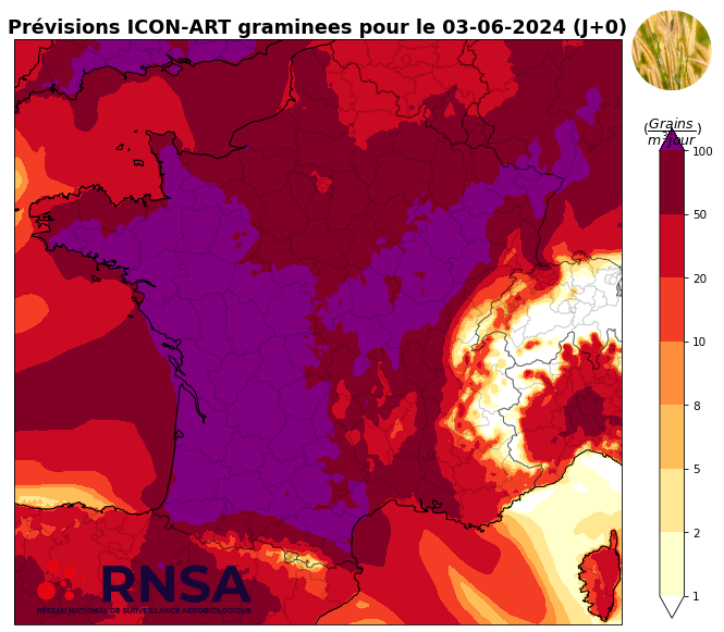 Concentrations de pollens de graminées pour le lundi 3 juin 2024