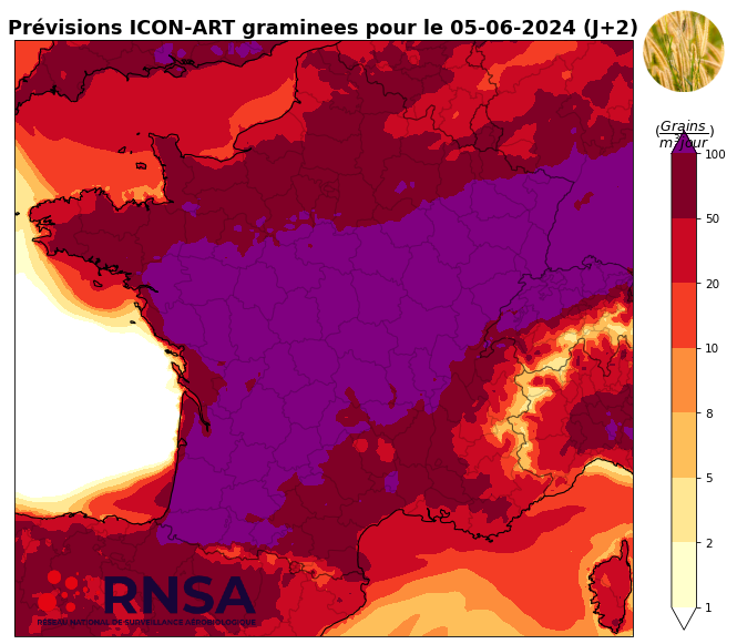 Concentrations de pollens de graminées pour le mercredi 5 juin 2024 