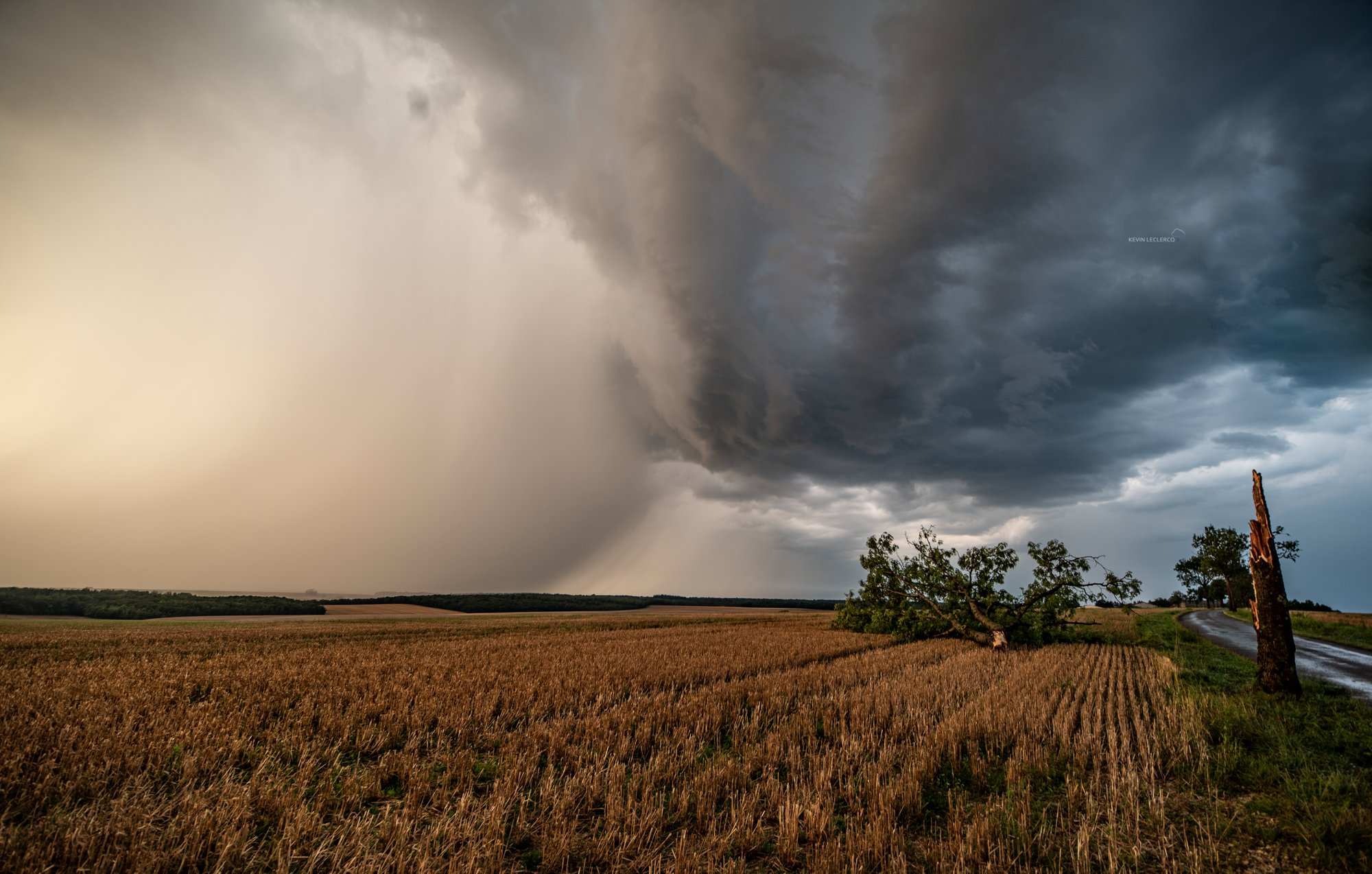 Orage et arbre abattu à Courouvre (55) ce samedi 24 août 2024