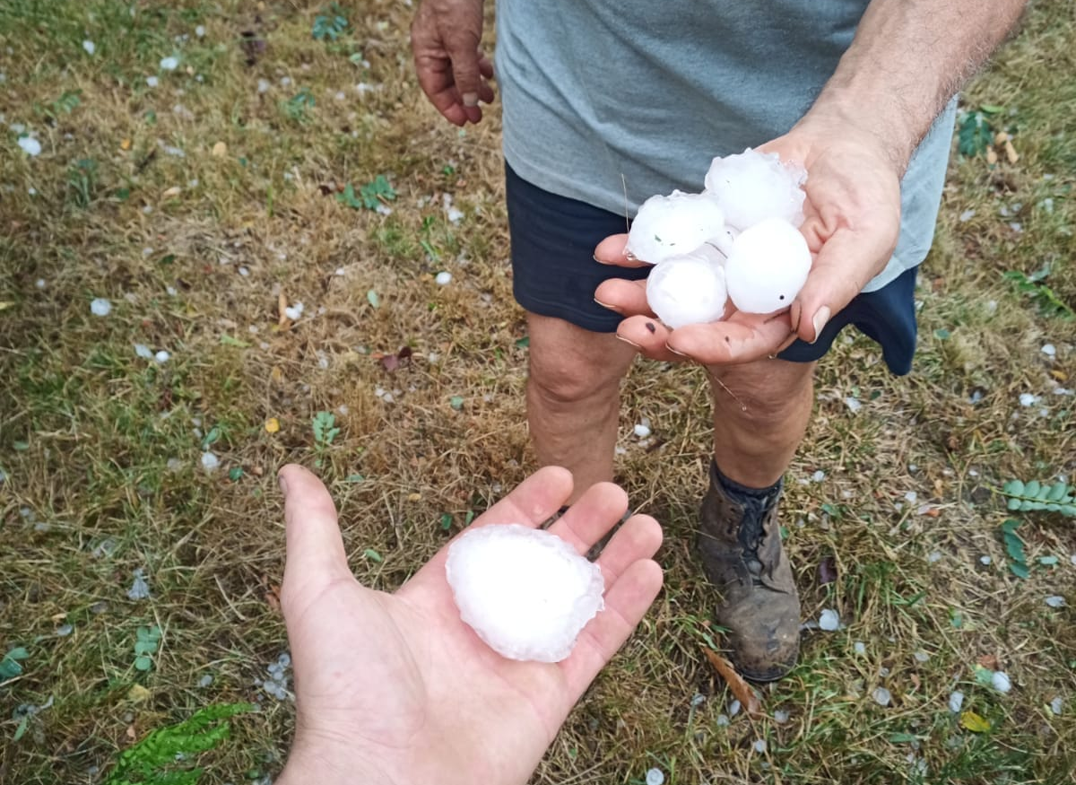 Gros grêlons à Laguépie (82) le samedi 24 août 2024