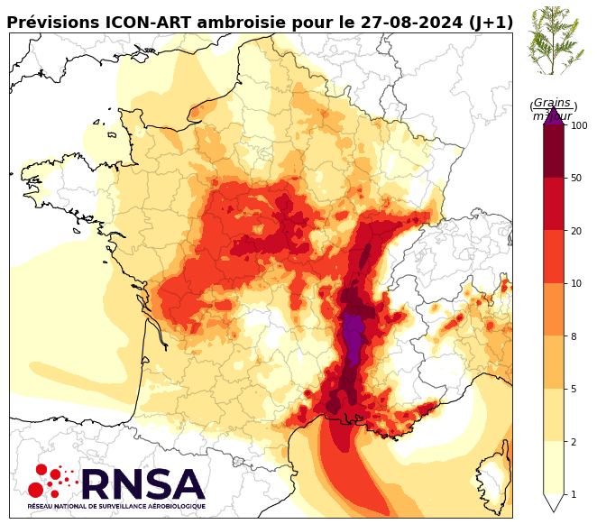 Concentrations en pollens d'ambroisie le mardi 27 août 2024