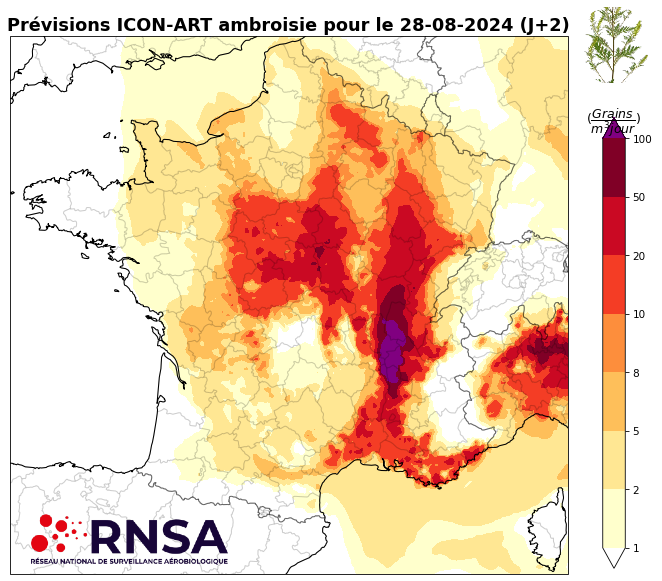 Concentrations en pollens d'ambroisie le mercredi 28 août 2024