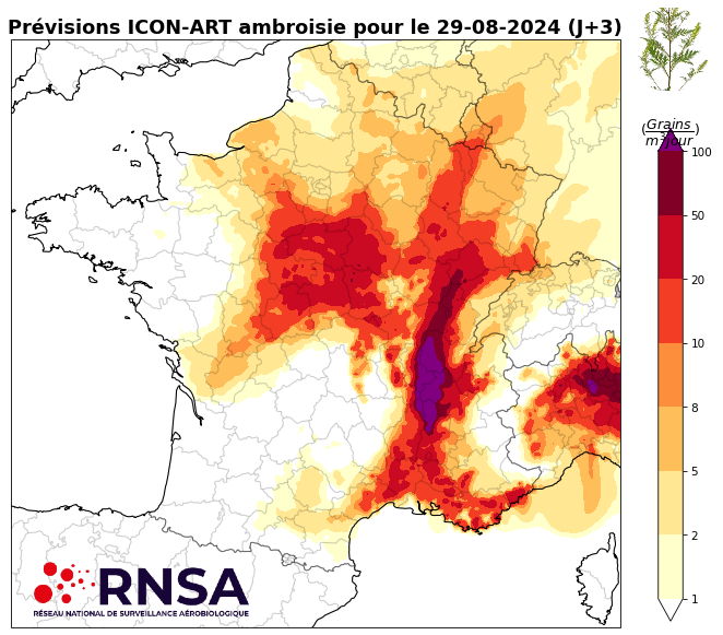 Concentrations en pollens d'ambroisie le jeudi 29 août 2024