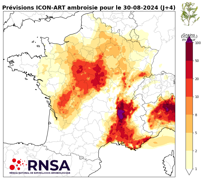 Concentrations en pollens d'ambroisie le vendredi 30 août 2024