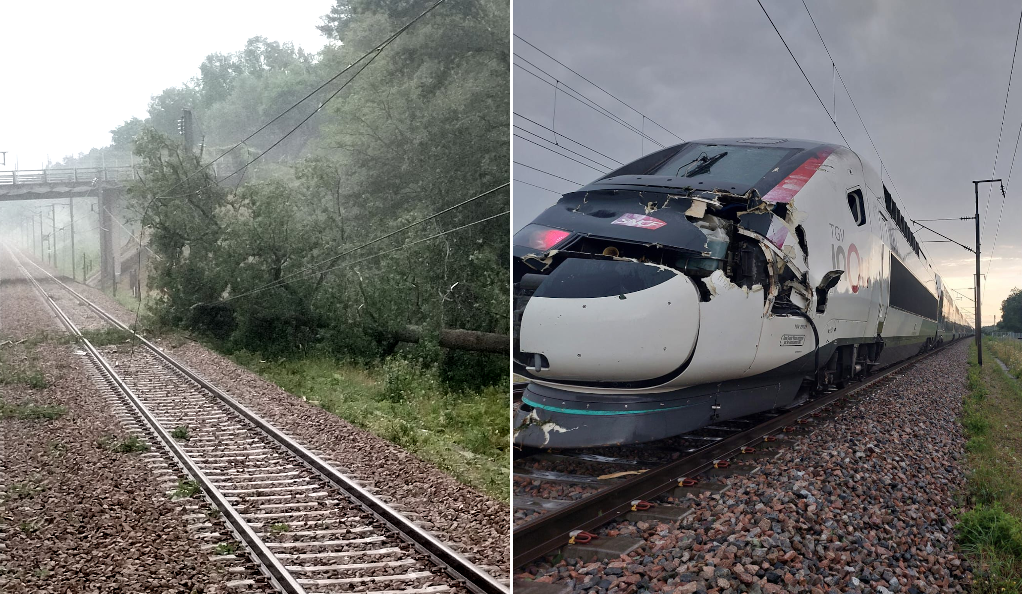 TGV ayant percuté un arbre à Vaumort (89) le mercredi 31 juillet 2024