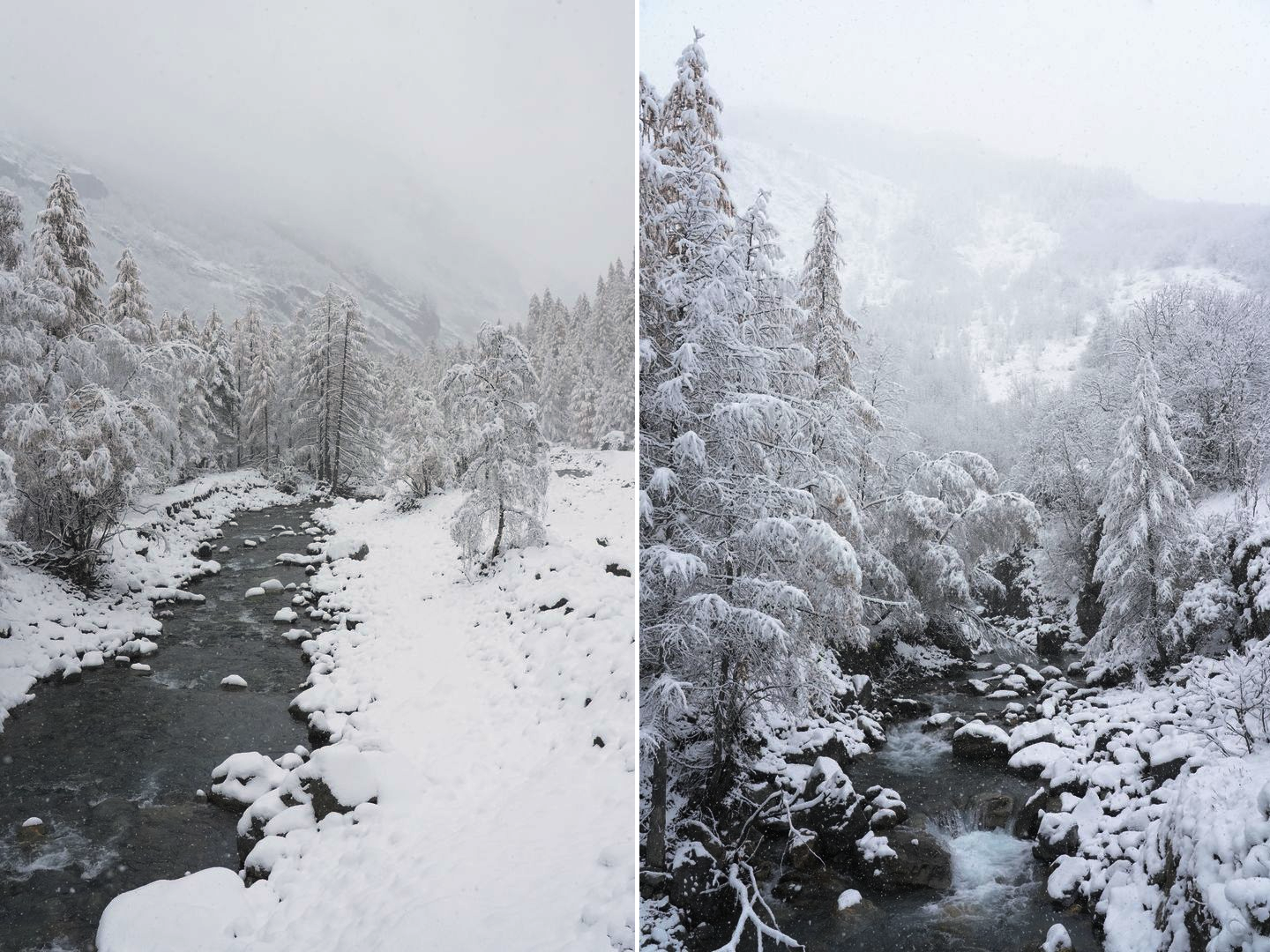 Neige fraîche à Freissinières (05) ce mardi 12 novembre 2024