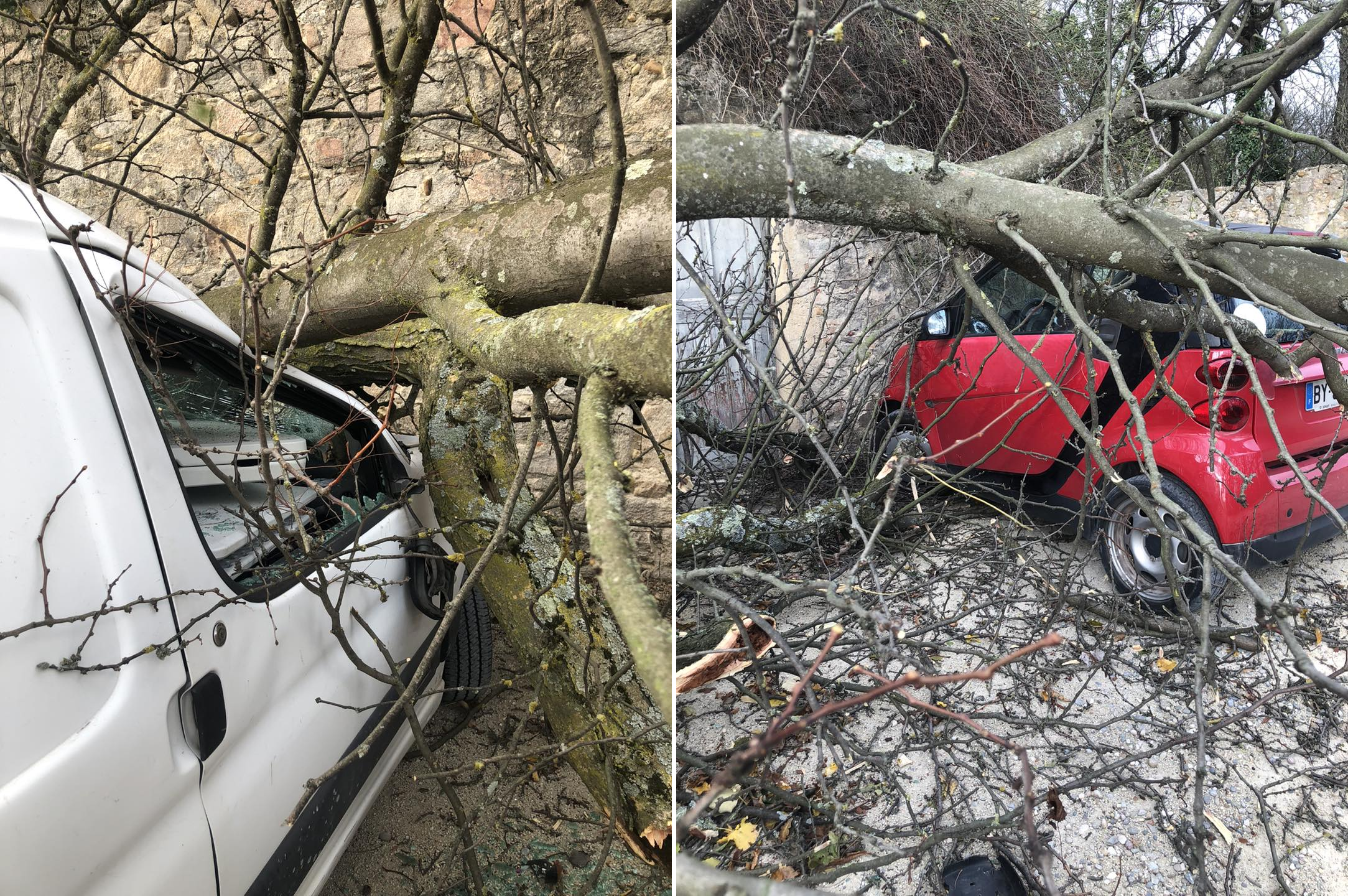 Dégâts de la tempête à Irigny (69) ce lundi 25 novembre 2024