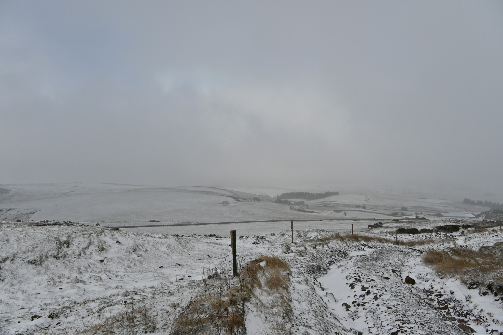 Neige aux Estables (43) ce mardi 12 novembre 2024