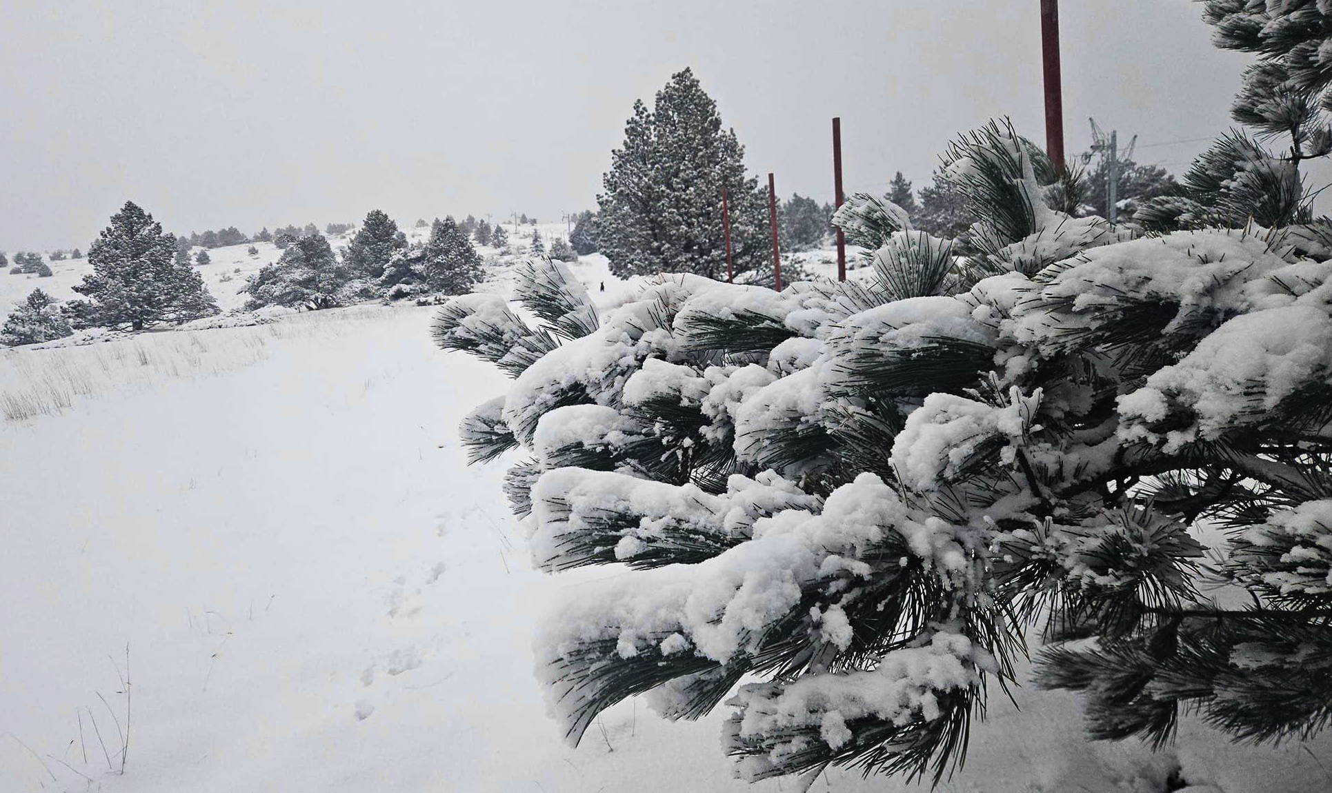 Le Mont Ventoux (84) sous la neige ce mardi 12 novembre 2024