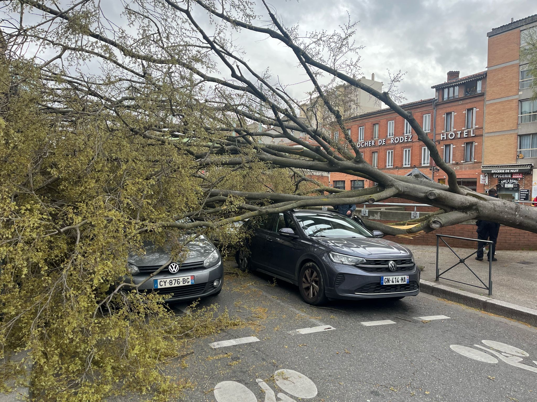 Chute d'arbre sur des voitures à Toulouse (31) le vendredi 21 mars 2025