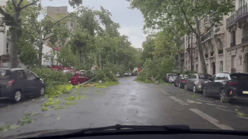 Nombreux arbres couchés par l'orage dans les rues de Paris (75) ce jeudi 26 juin 2025