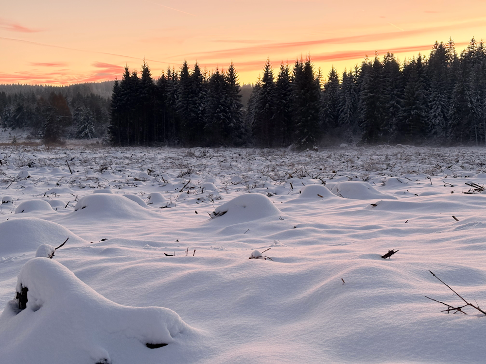 Épais manteau neigeux à Fournols (63) vers 1000m ce jeudi 27 novembre 2025