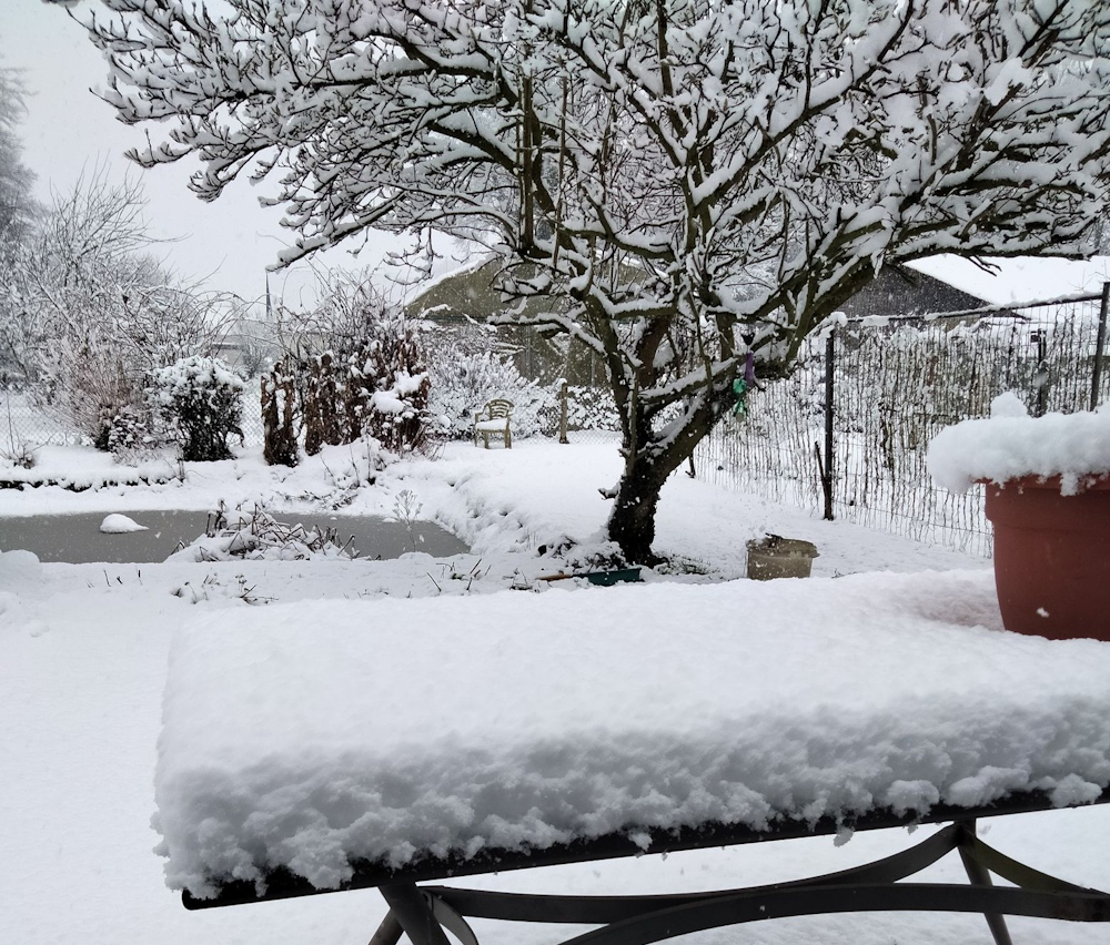10 cm de neige à Grand-Camp (76) le lundi 5 janvier 2026 