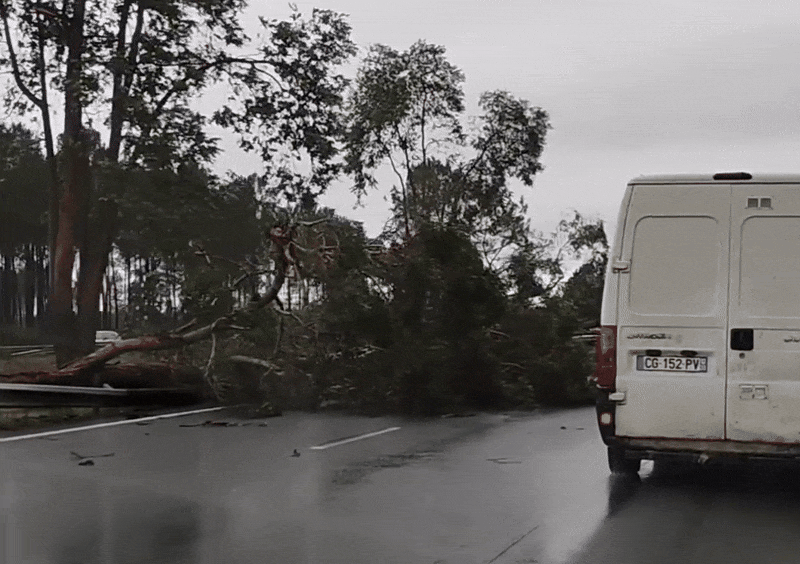 Arbres tombés sur l'A63 vers Mios (33) suite à la tornade ce samedi 31 janvier 2026